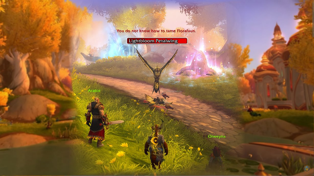 Neues Trainingsbuch für Jäger-Begleiter in Arbeit?